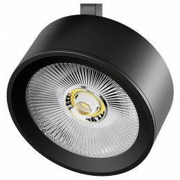 Плафон металлический Lightstar Alta Pro 215637