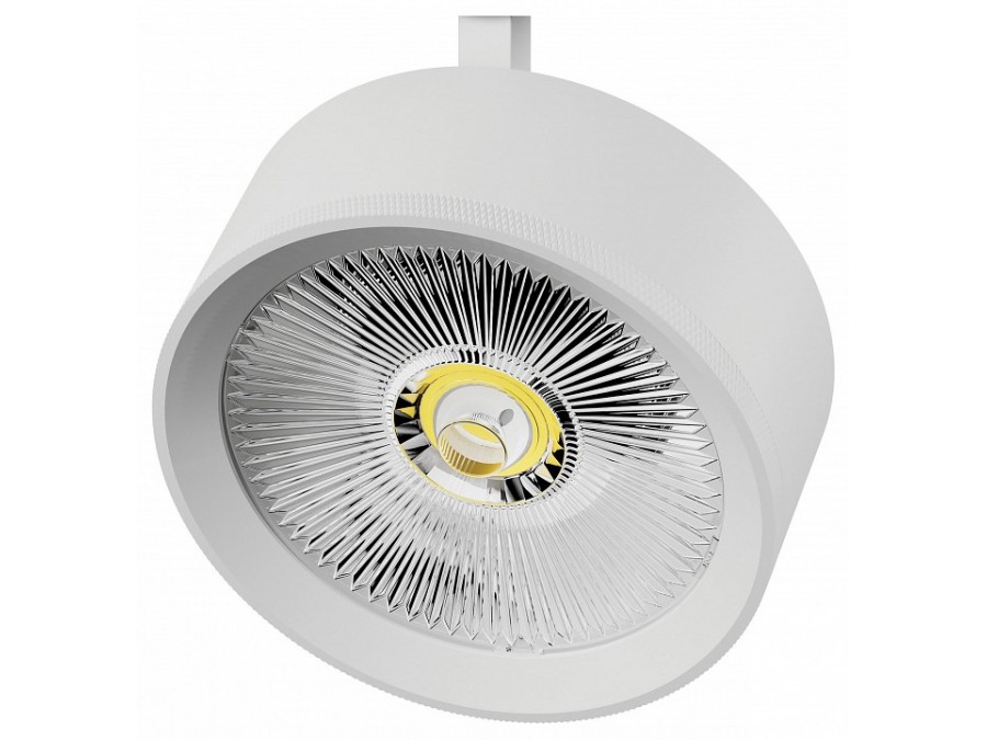 Плафон металлический Lightstar Alta Pro 215736