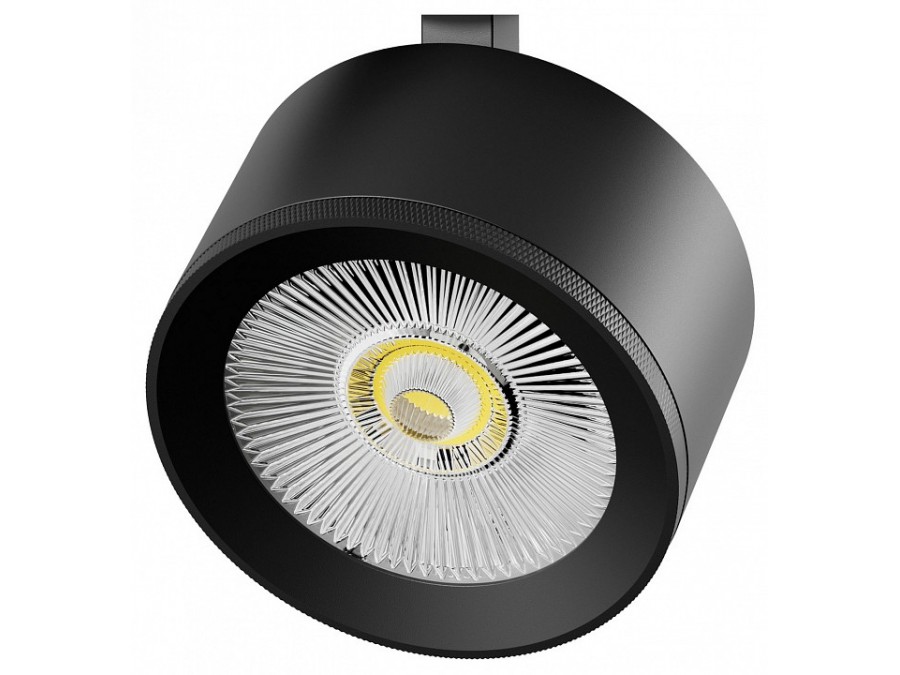 Плафон металлический Lightstar Alta Pro 215537