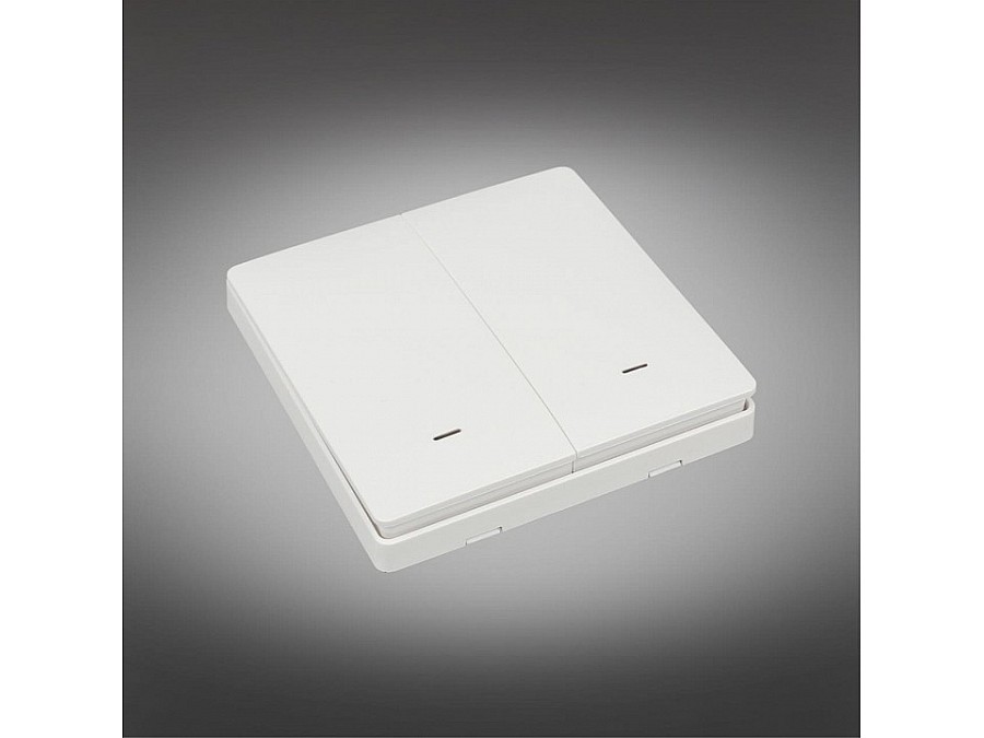 Выключатель беспроводной двухклавишный Aployt Magnetic track 220 APL.0190.00.02