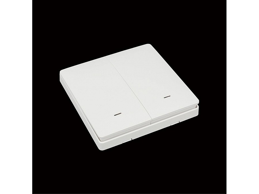 Выключатель беспроводной двухклавишный Aployt Magnetic track 220 APL.0190.00.02