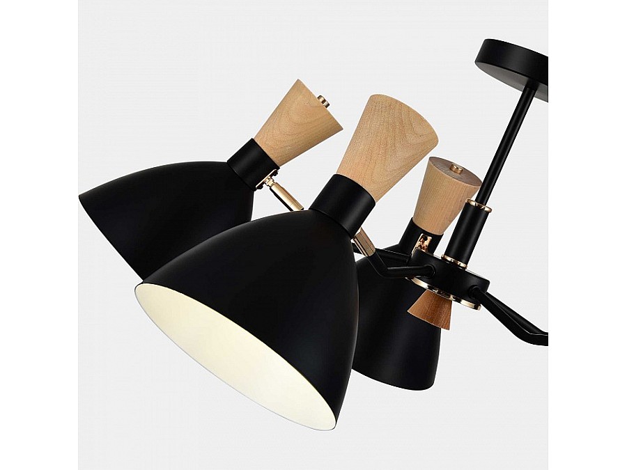 Люстра на штанге EVOLUCE VISTA SLE1256-402-05