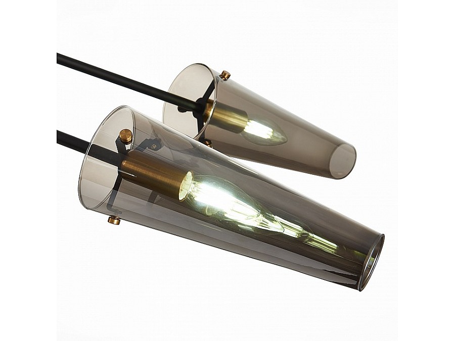 Люстра на штанге ST-Luce Morave SL1209.302.06
