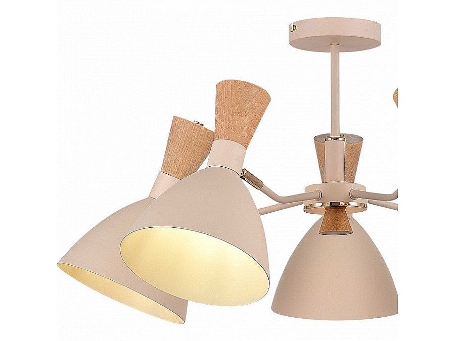 Люстра на штанге EVOLUCE VISTA SLE1256-502-05