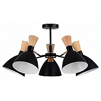 Люстра на штанге EVOLUCE VISTA SLE1256-402-05