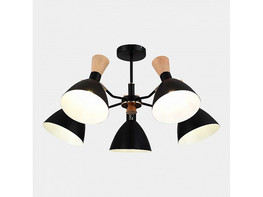 Люстра на штанге EVOLUCE VISTA SLE1256-402-05