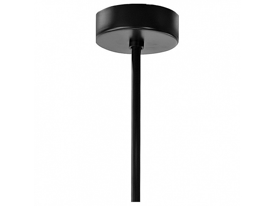 Люстра на штанге Lightstar Globo 813197
