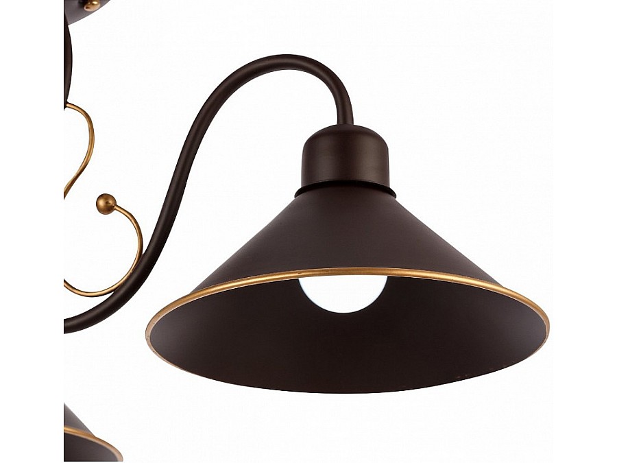 Люстра на штанге EVOLUCE Ciolla SLE120402-03