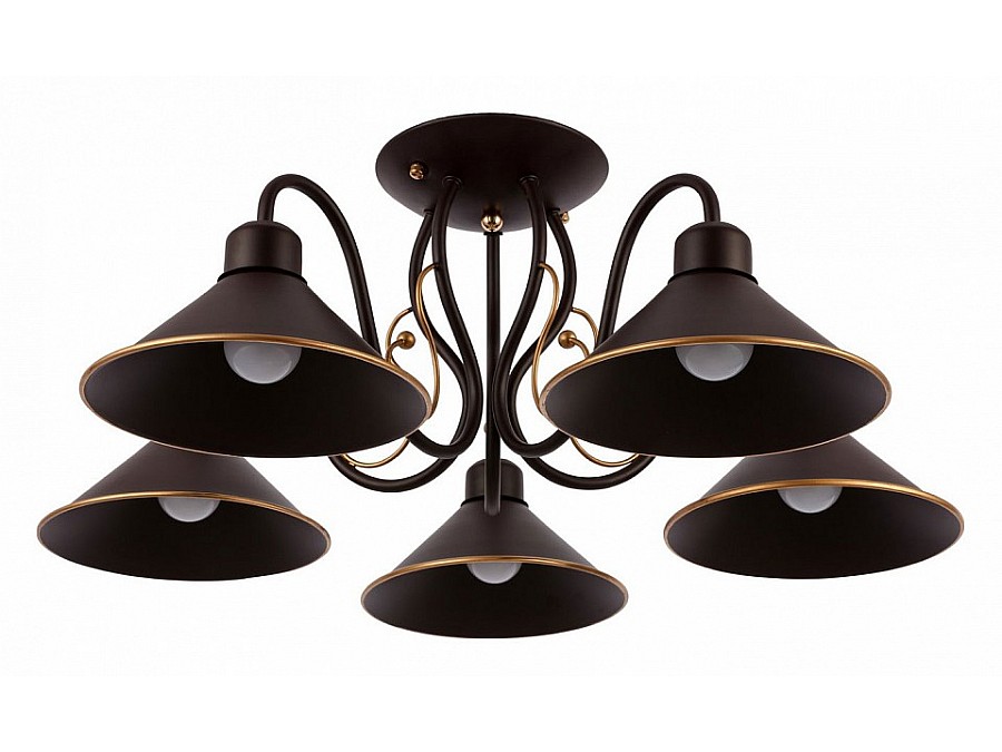 Люстра на штанге EVOLUCE Ciolla SLE120402-05