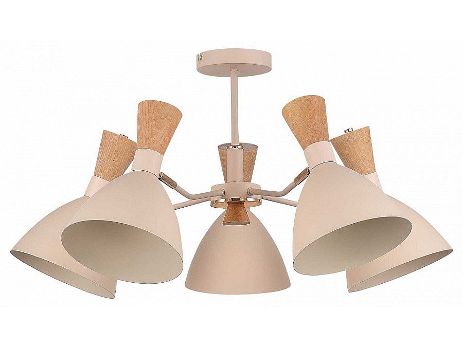 Люстра на штанге EVOLUCE VISTA SLE1256-502-05