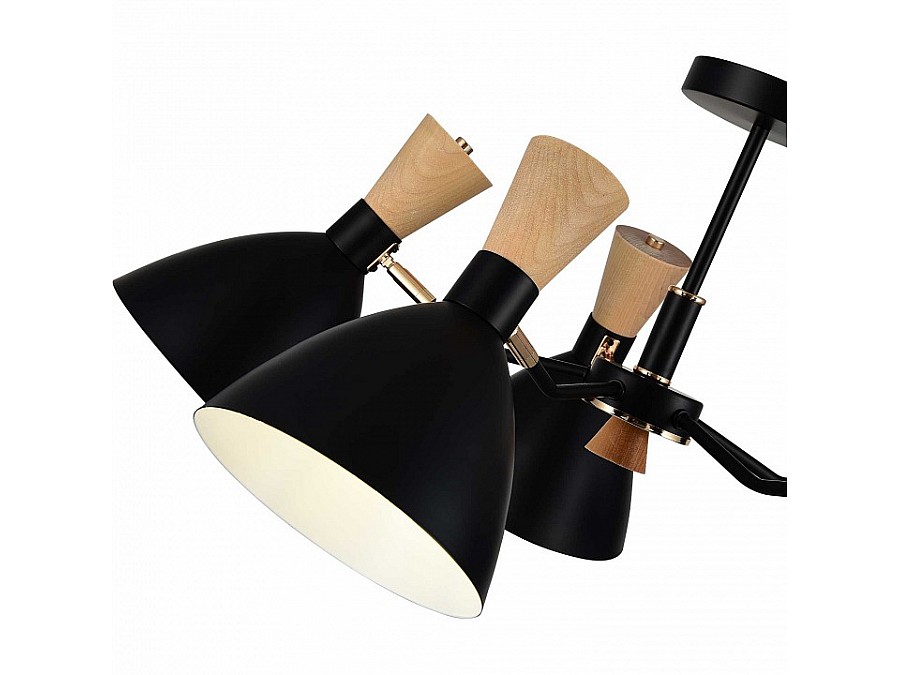 Люстра на штанге EVOLUCE VISTA SLE1256-402-05