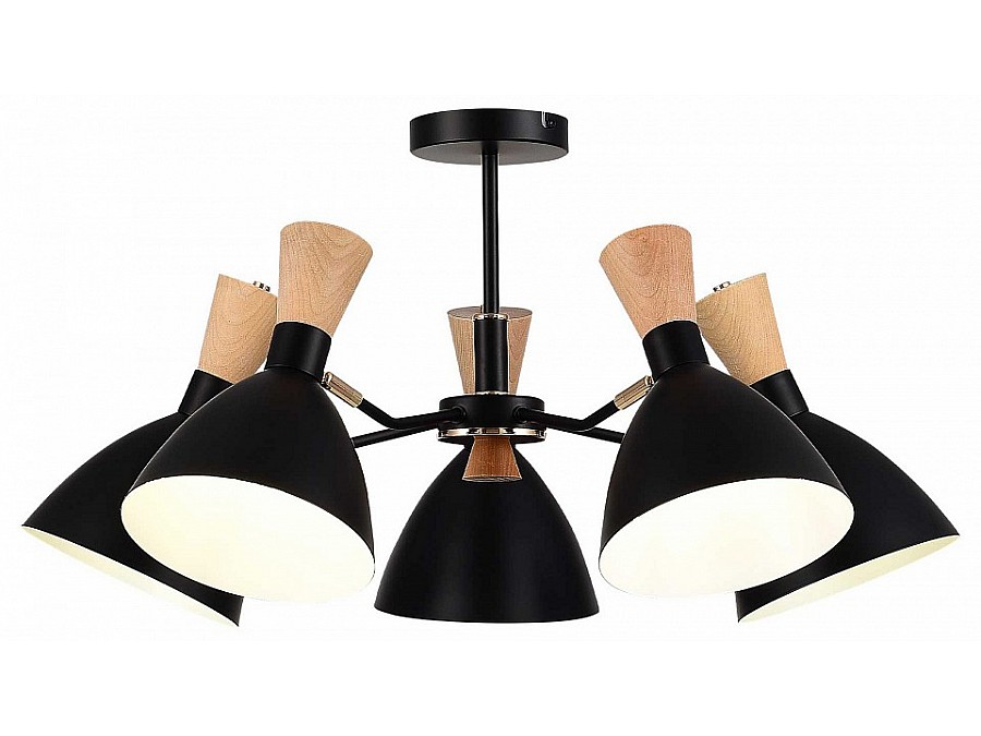 Люстра на штанге EVOLUCE VISTA SLE1256-402-05