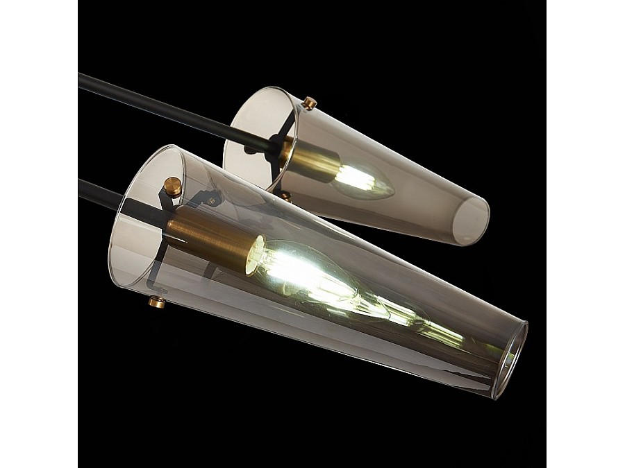 Люстра на штанге ST-Luce Morave SL1209.302.06