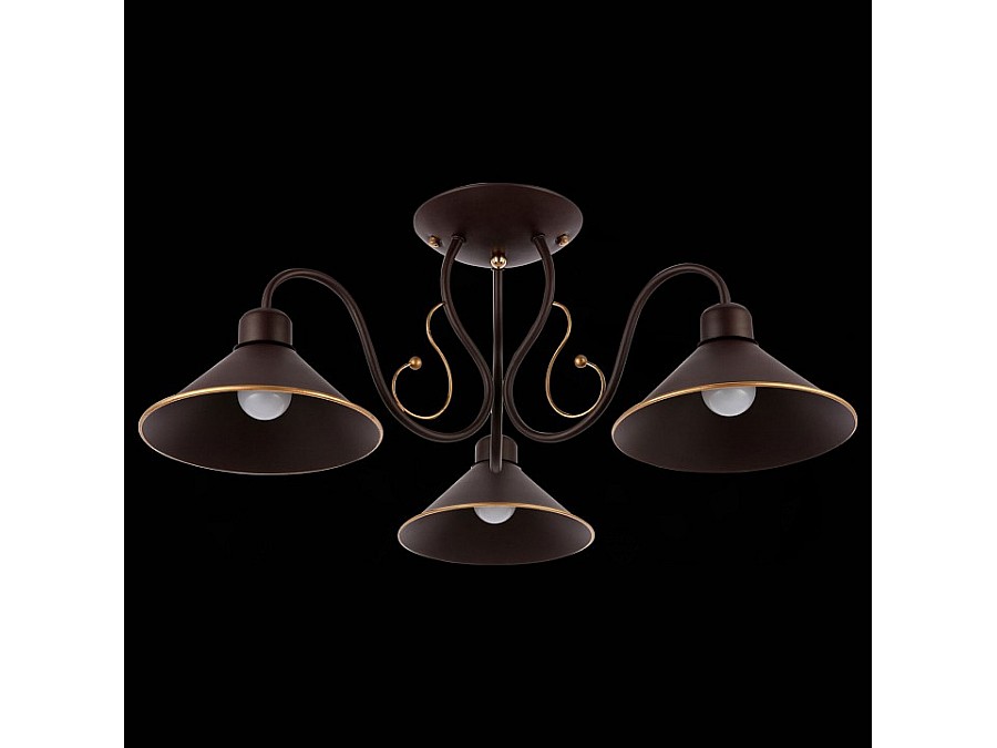 Люстра на штанге EVOLUCE Ciolla SLE120402-03