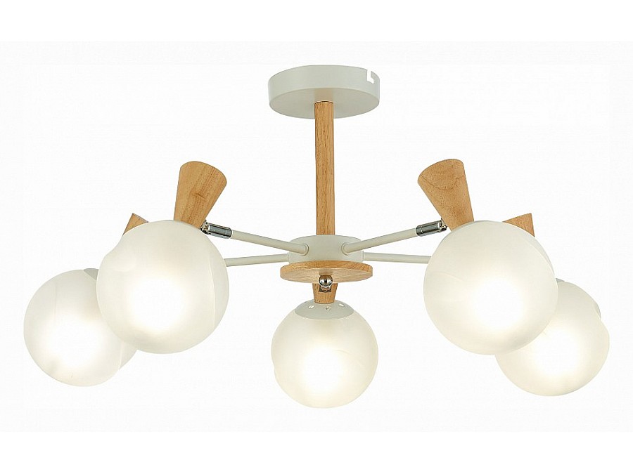 Люстра на штанге EVOLUCE Catania SLE220702-05