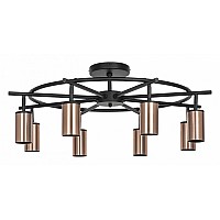 Люстра на штанге Lightstar Rullo LR718308