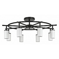 Люстра на штанге Lightstar Rullo LR718368