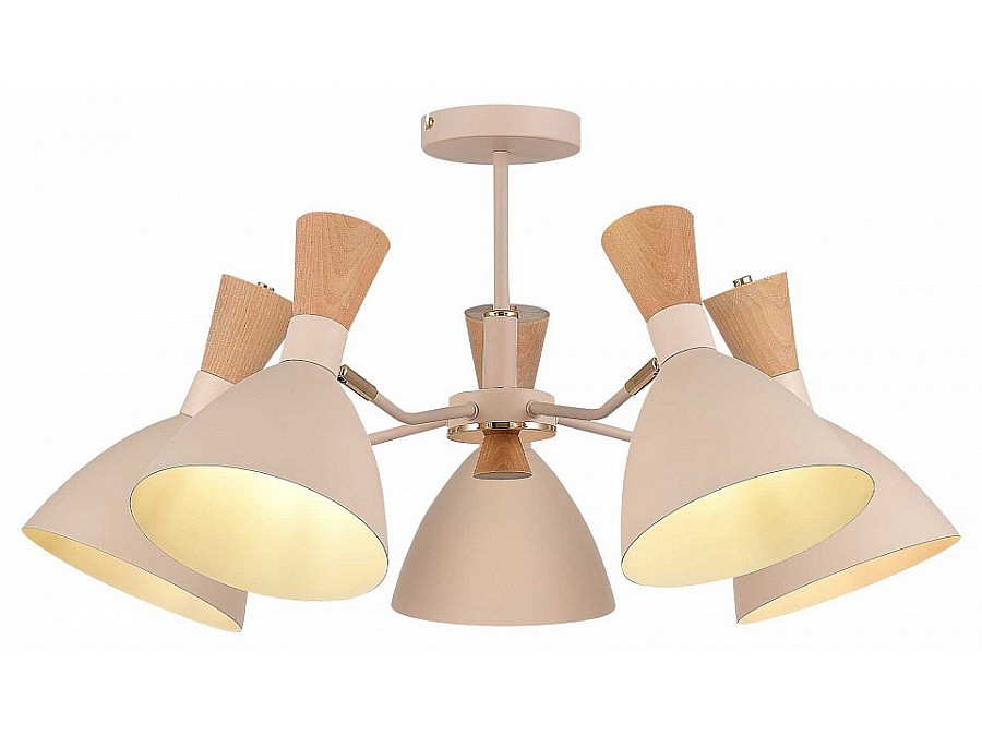 Люстра на штанге EVOLUCE VISTA SLE1256-502-05