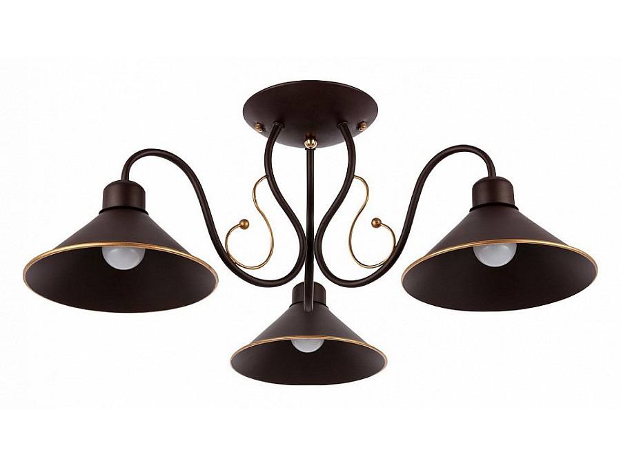 Люстра на штанге EVOLUCE Ciolla SLE120402-03