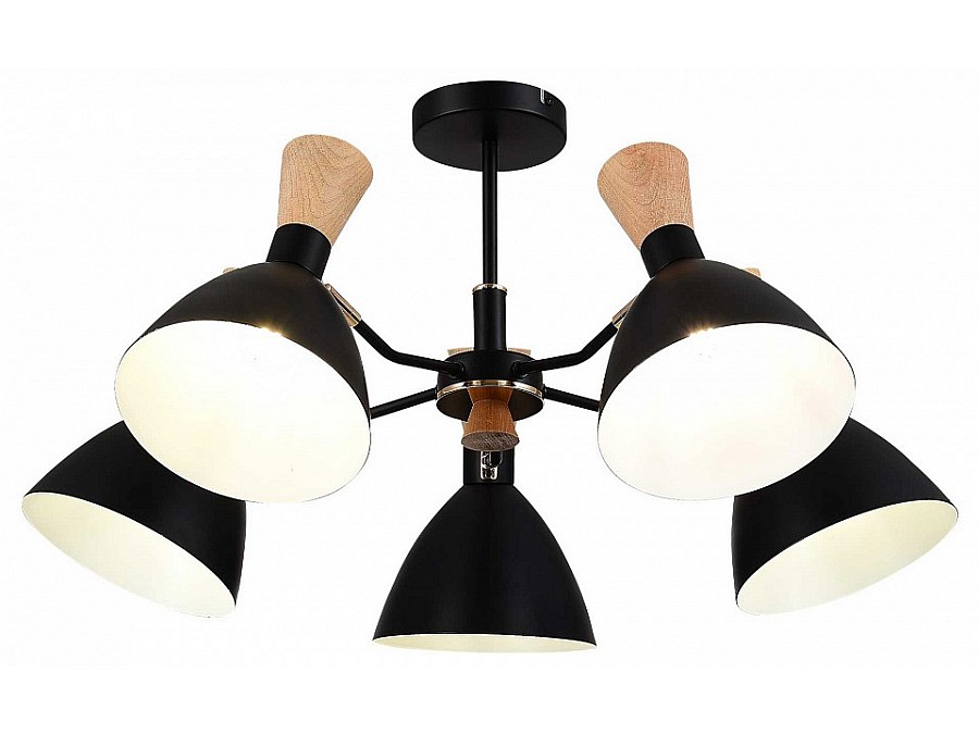 Люстра на штанге EVOLUCE VISTA SLE1256-402-05