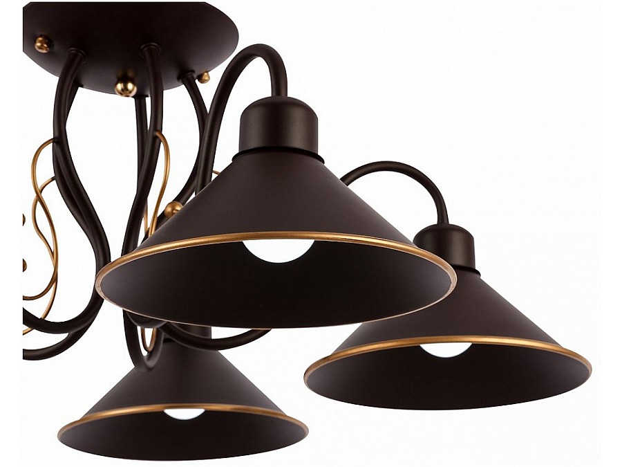 Люстра на штанге EVOLUCE Ciolla SLE120402-05