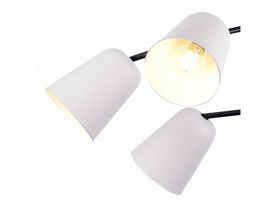 Люстра на штанге EVOLUCE Mario SLE155942-06