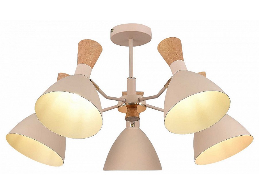 Люстра на штанге EVOLUCE VISTA SLE1256-502-05