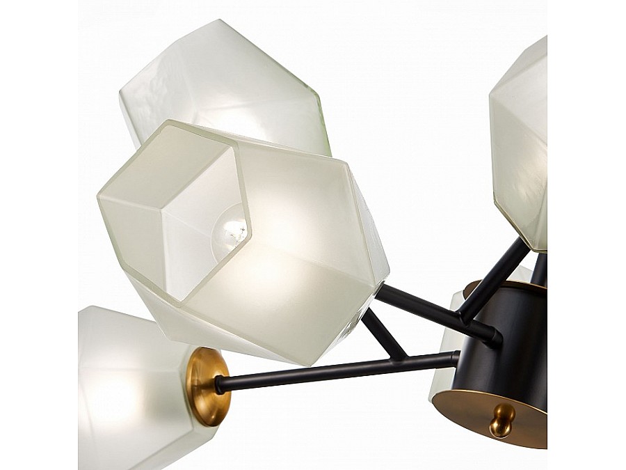 Люстра на штанге EVOLUCE Terramo SLE205102-08