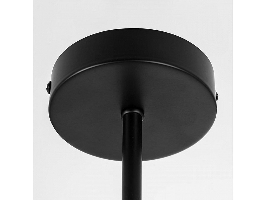 Люстра на штанге Citilux Fisher CL218163