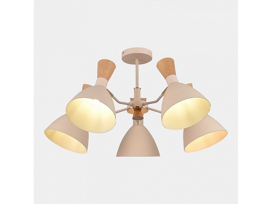 Люстра на штанге EVOLUCE VISTA SLE1256-502-05