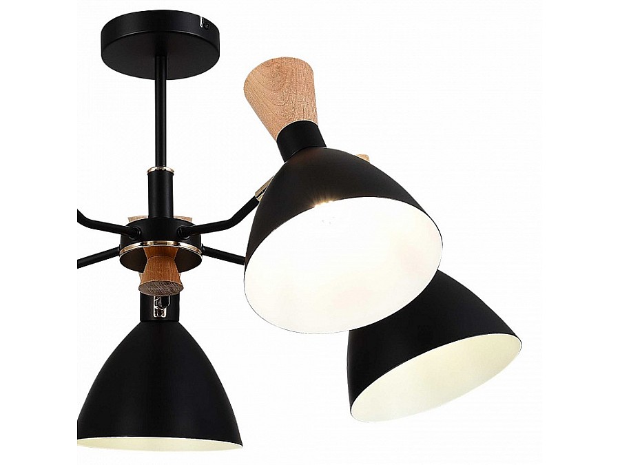 Люстра на штанге EVOLUCE VISTA SLE1256-402-05