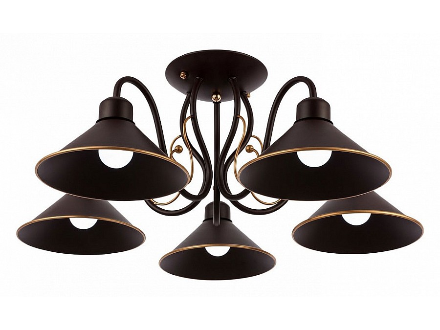 Люстра на штанге EVOLUCE Ciolla SLE120402-05