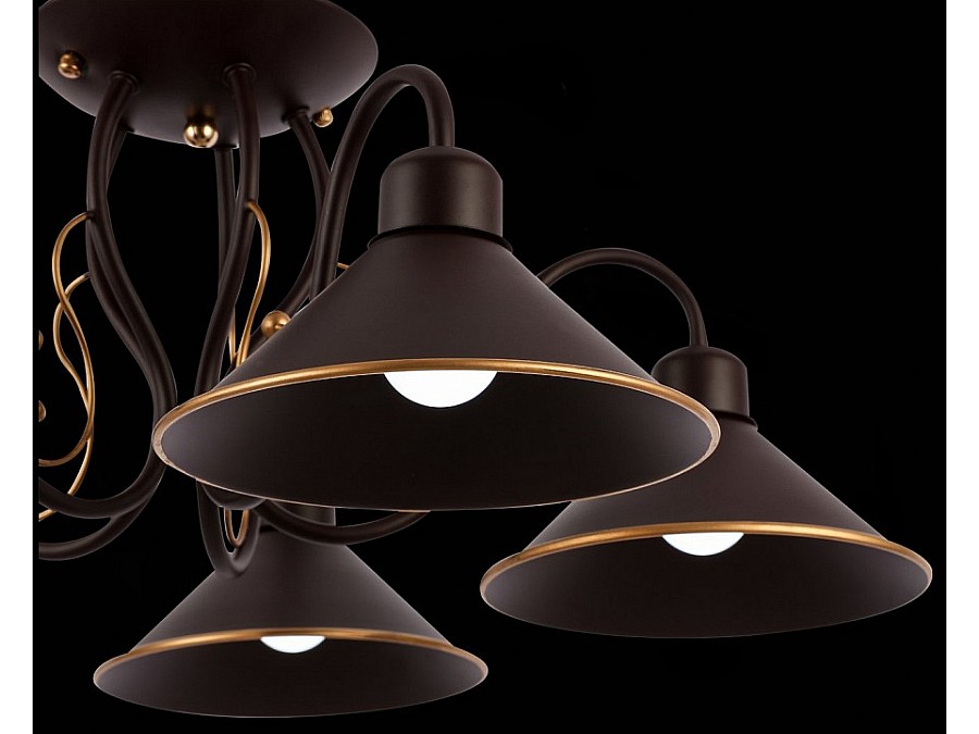 Люстра на штанге EVOLUCE Ciolla SLE120402-05