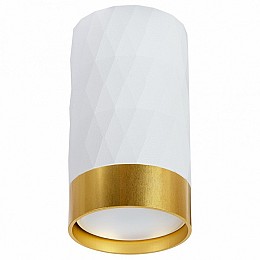 Накладной светильник Arte Lamp Fang 1 A5558PL-1WH