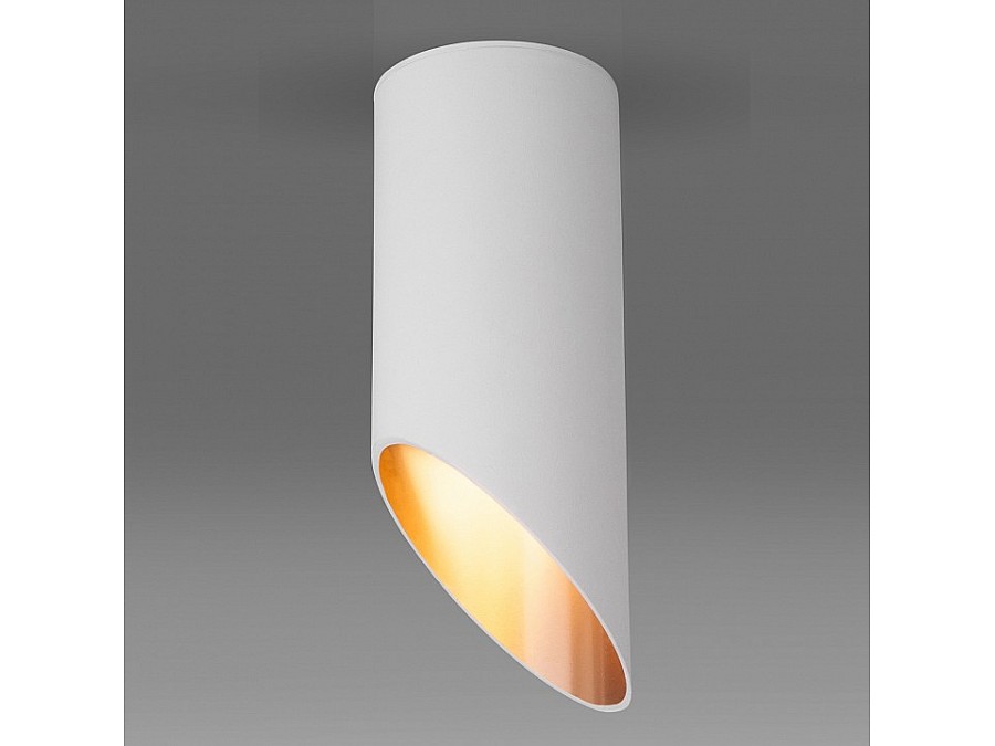 Накладной светильник Elektrostandard DLN115 a050119