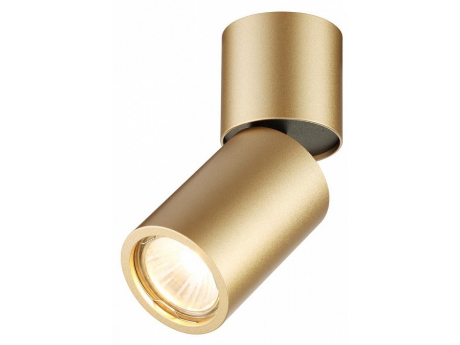 Накладной светильник Odeon Light Duetta 3895/1C