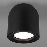 Накладной светильник Elektrostandard DLN116 a050673