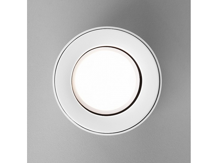 Накладной светильник Elektrostandard DLN116 a050672