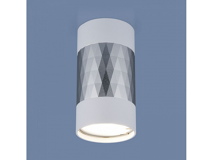 Накладной светильник Elektrostandard DLN110 a047744