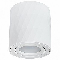 Накладной светильник Arte Lamp Fang 2 A5559PL-1WH