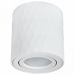 Накладной светильник Arte Lamp Fang 2 A5559PL-1WH