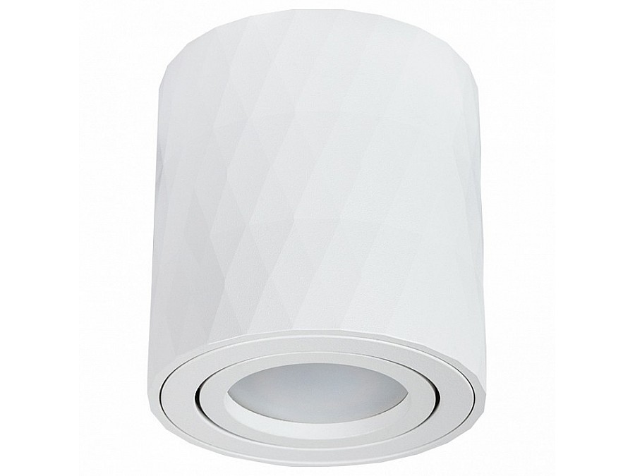 Накладной светильник Arte Lamp Fang 2 A5559PL-1WH
