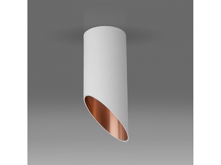 Накладной светильник Elektrostandard DLN115 a050119