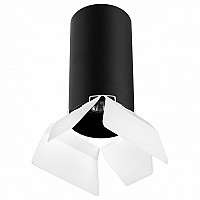 Накладной светильник Lightstar Rullo 3 R6487486