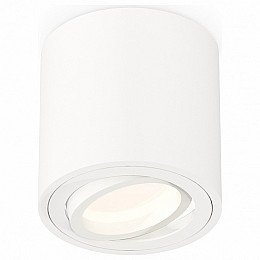 Накладной светильник Ambrella XS XS7531001