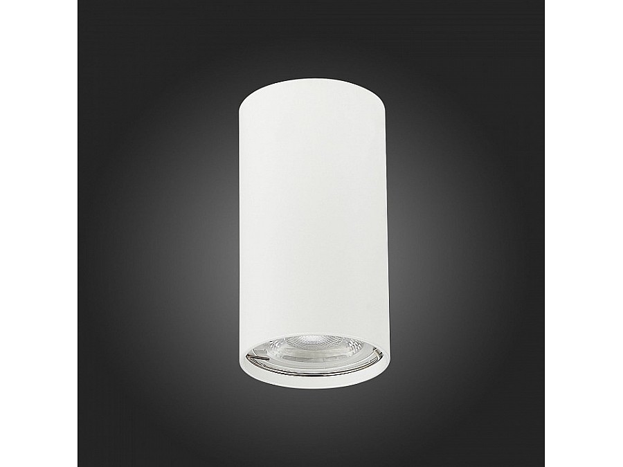 Накладной светильник ST-Luce Simplus ST110.507.01