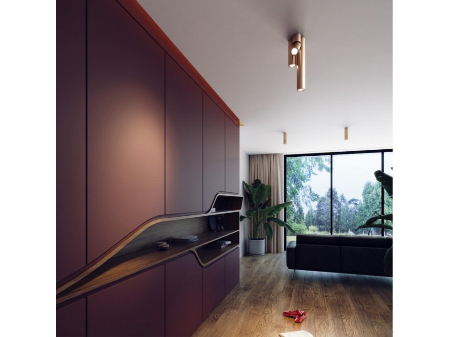 Накладной светильник Odeon Light Duetta 3895/1C