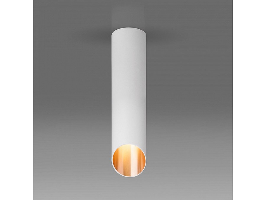 Накладной светильник Elektrostandard DLN115 a050121