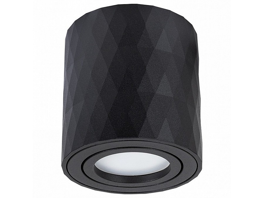 Накладной светильник Arte Lamp Fang 2 A5559PL-1BK