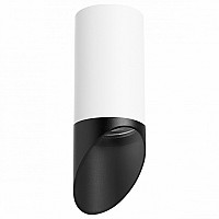 Накладной светильник Lightstar Rullo 2 R43637